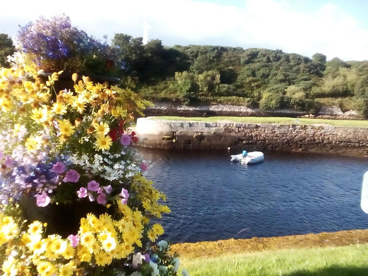 Sea Song, Selkie House Acomodação com café da manhã Helmsdale Exterior foto